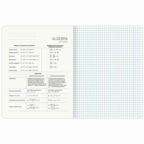 Тетради предметные, КОМПЛЕКТ 12 ПРЕДМЕТОВ, 48 л., матовая ламинация, лак, BRAUBERG «MAJESTIC BLACK»