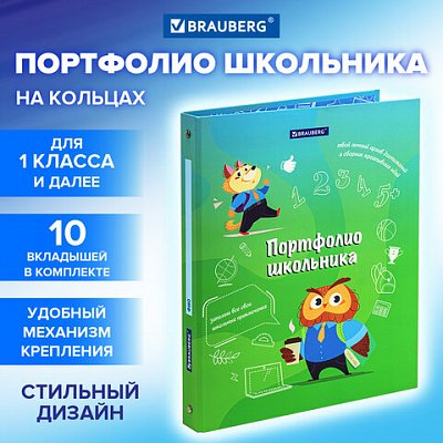 Папка-портфолио школьника «ОТЛИЧНИК», 4 кольца, 20 файлов, 10 вкладышей, 7БЦ матовая, BRAUBERG