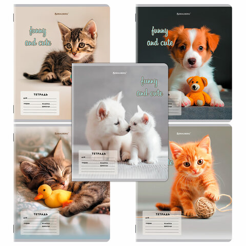 превью Тетрадь 12 л. BRAUBERG косая линия, обложка картон, CATS AND DOGS