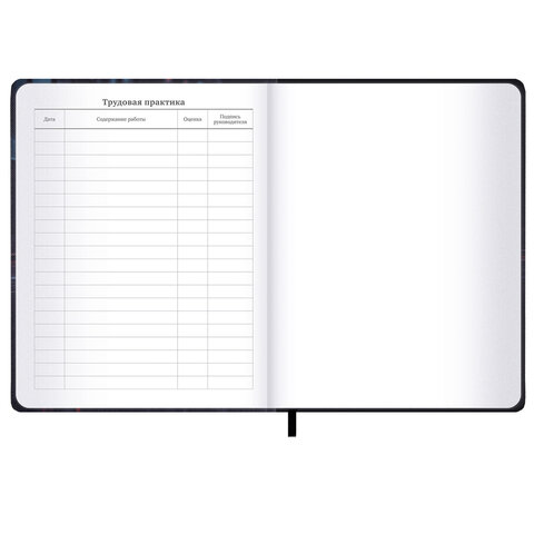 Дневник 1-11 класс 48 л., обложка кожзам (твердая с поролоном), 3D-элемент, BRAUBERG, «Авто»