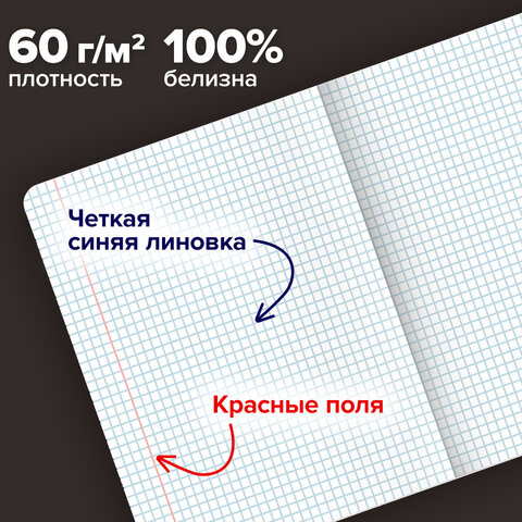 Тетради ДЭК А5 48 л. КОМПЛЕКТ 5 шт. BRAUBERG скоба, клетка, матовая ламинация, GRACE