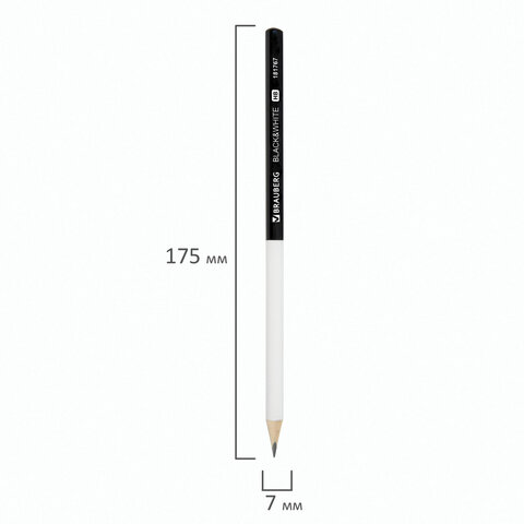 Карандаш чернографитный BRAUBERG «Black&White»1 шт. HBкорпус черно-белый181767