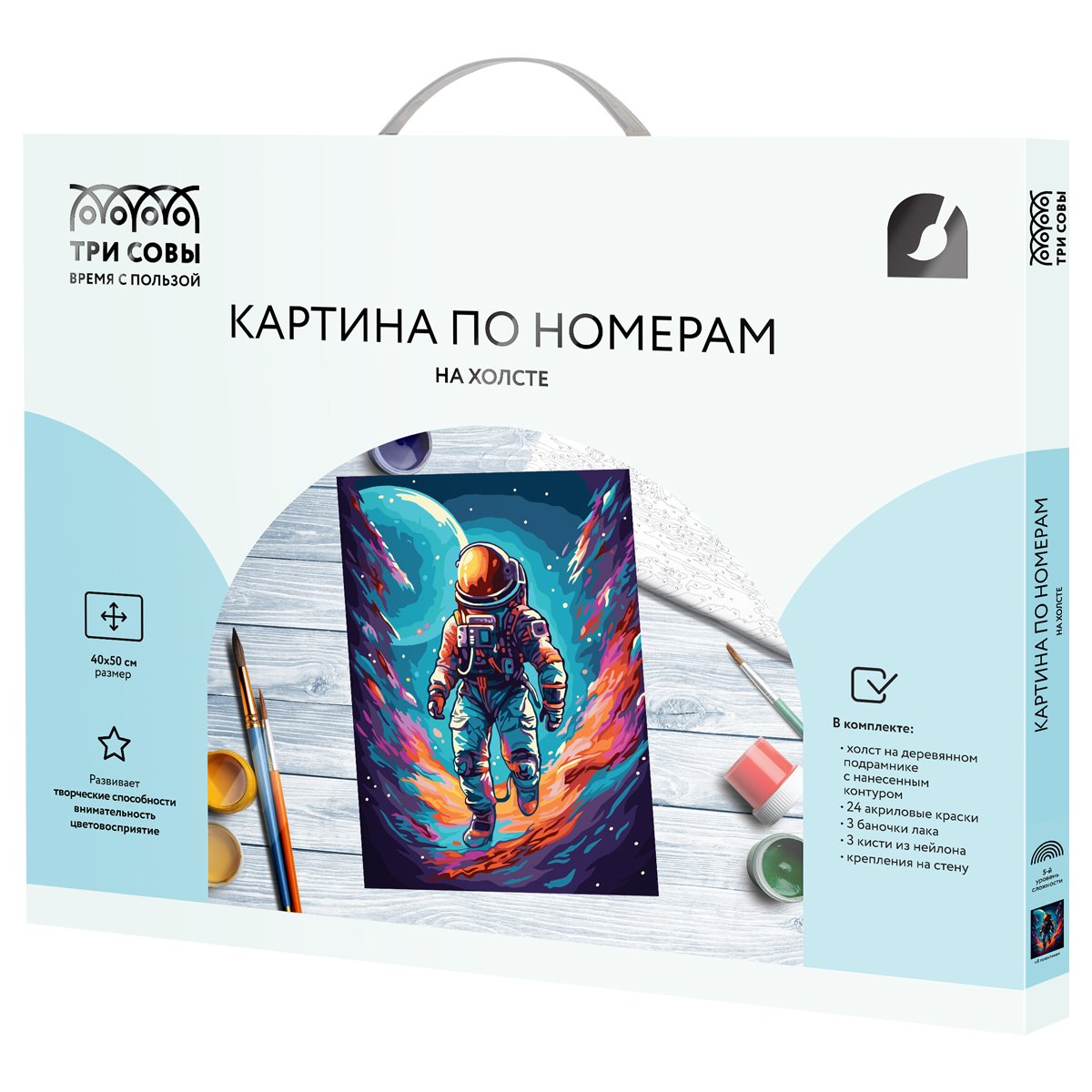 Картина по номерам на холсте ТРИ СОВЫ «В галактике», 40×50, с акриловыми красками и кистями