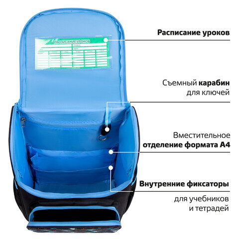 Ранец ПИФАГОР BASIC, 1 отделение, 3 кармана, эргономичная спинка, «Angry shark», 35×28х18 см