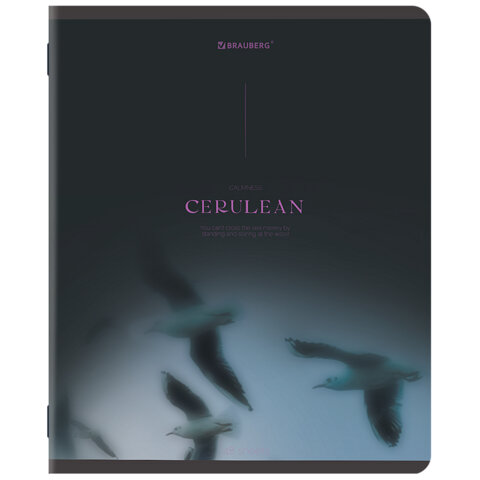 Тетрадь А5, 48 л., BRAUBERG, скоба, клетка, SoftTouch, «Peaceful», (микс в спайке)