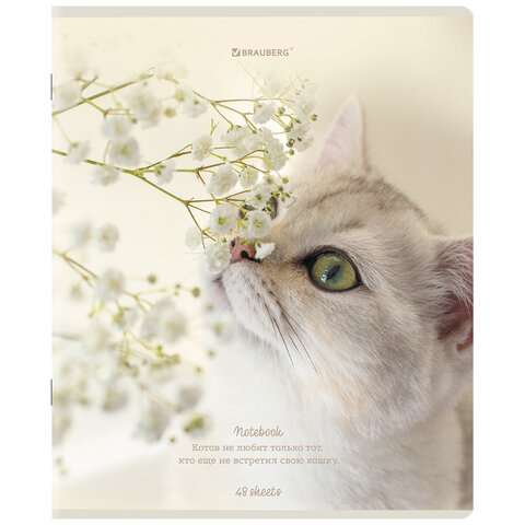Тетради ДЭК А5 48 л. КОМПЛЕКТ 5 шт. BRAUBERGклеткаматовая ламинация«Cats»404673
