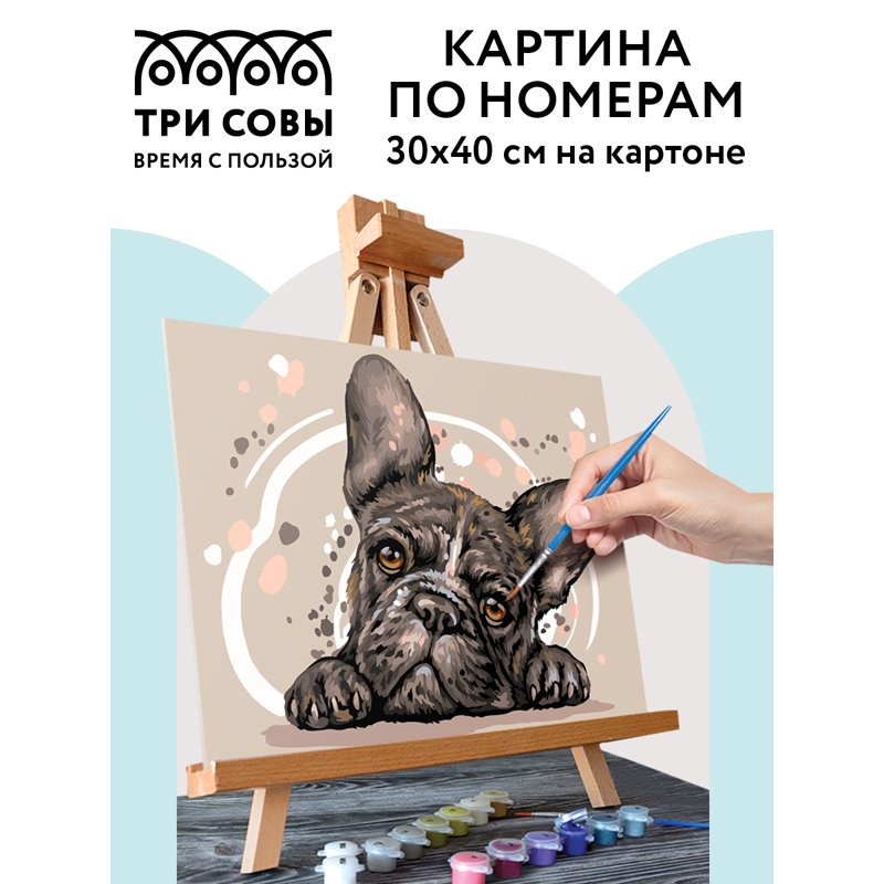 Картина По Номерам Французский Бульдог Купить