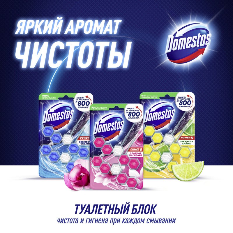 Блок для унитаза гигиенический Domestos Power 5 Duo Ледяная магнолия (2 штуки в упаковке)