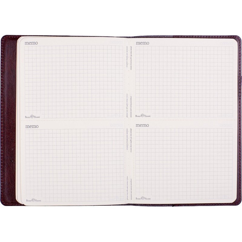 Ежедневник полудатированный Bruno Visconti Profy натуральная кожа А5 208 листов коричневый (золотист