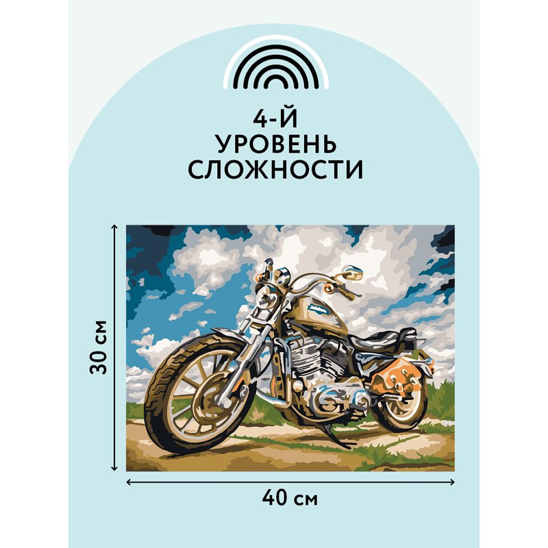 Картина по номерам на картоне ТРИ СОВЫ «На скорости», 30×40, с акриловыми красками и кистями