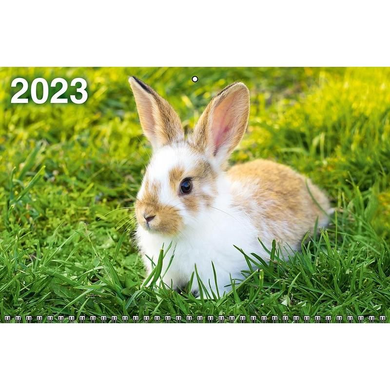 Календарь квартальный трехблочный настенный 2023 год Символ года (310×670 мм, 4523009)