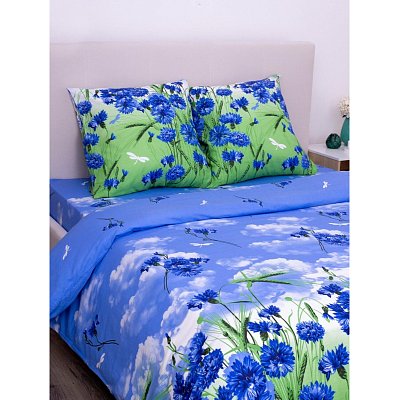 Постельное белье 1.5сп Бязь наб (нав. 70×70) 3422/1