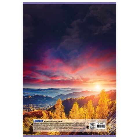 Тетрадь А4, 96 л., BRAUBERG, скоба, клетка, обложка картон, «Journey»