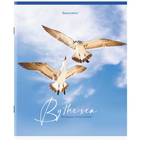 Тетрадь А5, 80 л., BRAUBERG, скоба, клетка, «By the Sea»