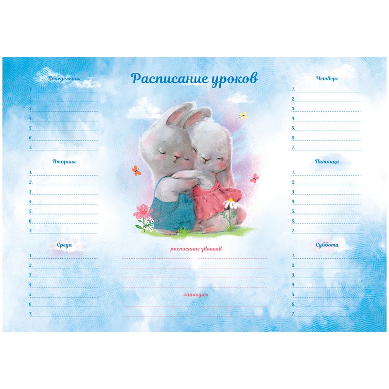 Расписание уроков с расписанием звонков А4 ArtSpace «Sweet story»