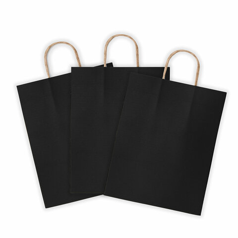 Крафт-пакет бумажный «Black» 26×15х35 см, с кручеными ручками, плотность 80 г/м2, моноцвет