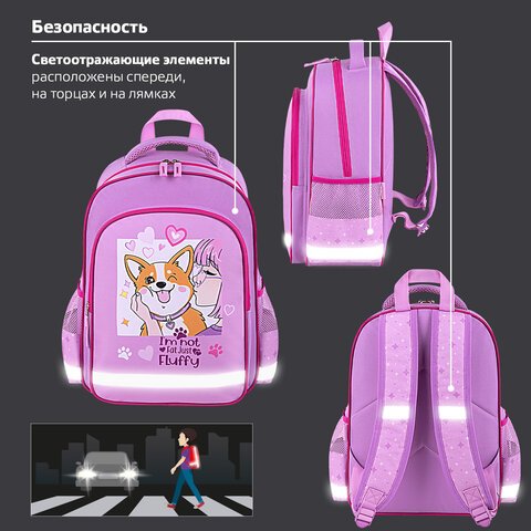 Рюкзак ПИФАГОР SCHOOL, 1 отделение, 3 кармана, «Fluffy akita», 38×28×14 см