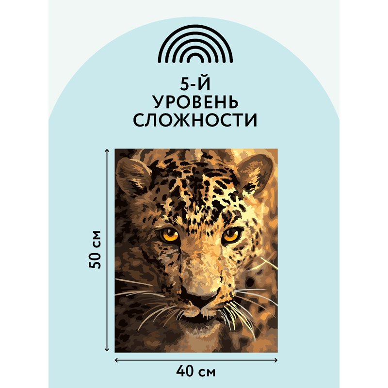 Картина по номерам на холсте ТРИ СОВЫ «Взгляд охотника», 40×50, с акриловыми красками и кистями
