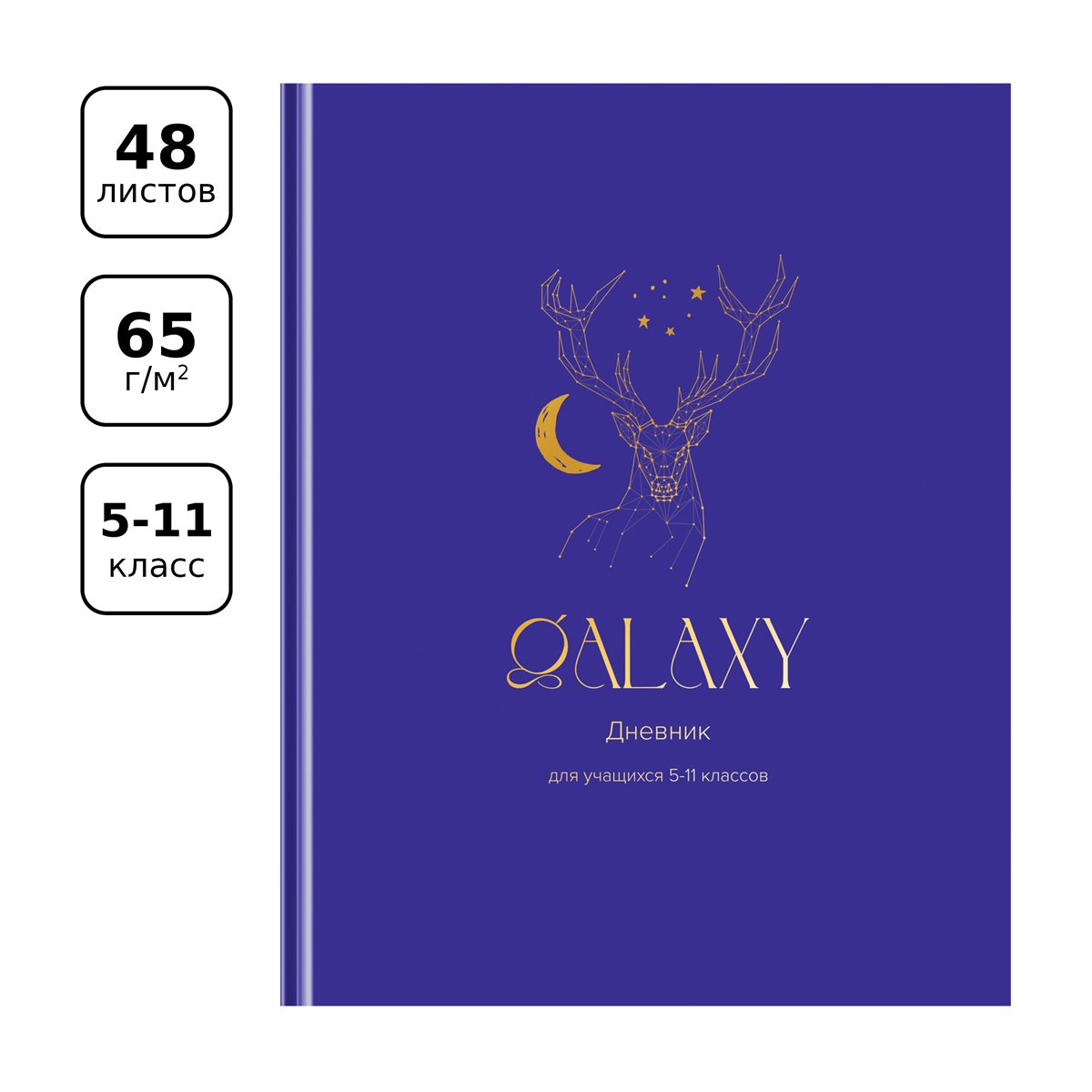 Дневник 5-11 кл. 48л. (твердый) BG «Galaxy», матовая ламинация, тиснение фольгой