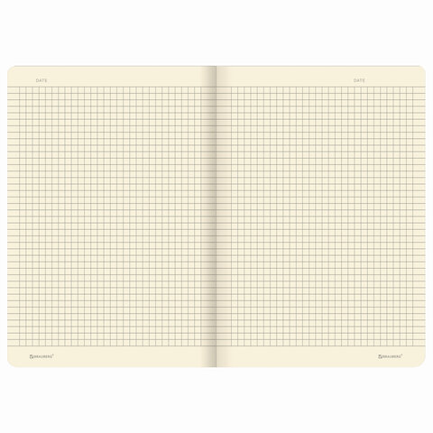 Тетрадь 48 л. в клетку обложка кожзам SoftTouch, сшивка, A5 (147×210мм), БЕЛЫЙ, BRAUBERG RAINBOW