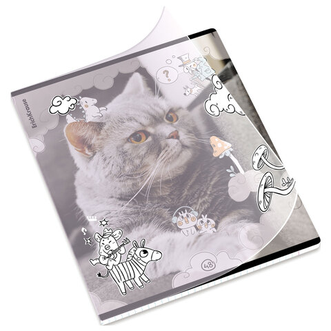 Тетрадь обложка пластик, А5, 48 л., скоба, клетка, ErichKrause, «Dream Cat» (микс в спайке)