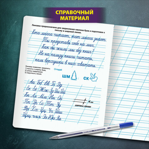 Тетрадь УЧУСЬ ПИСАТЬ № 4 12 л. косая линия, со справочным материалом, обложка картон, ЮНЛАНДИЯ