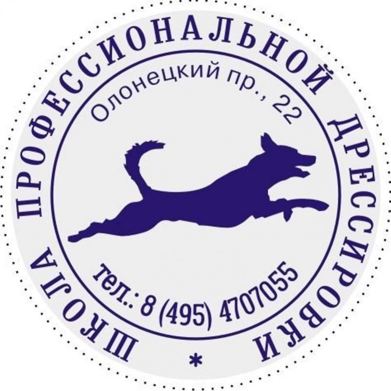 Оснастка для печати круглая Colop Stamp Mouse R40 40 мм с крышкой оранжевая