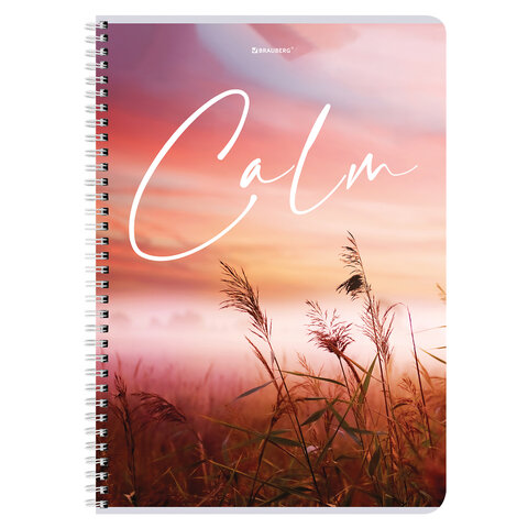 Тетрадь А4, 96 л., BRAUBERG, гребень, клетка, обложка картон, «Calm»