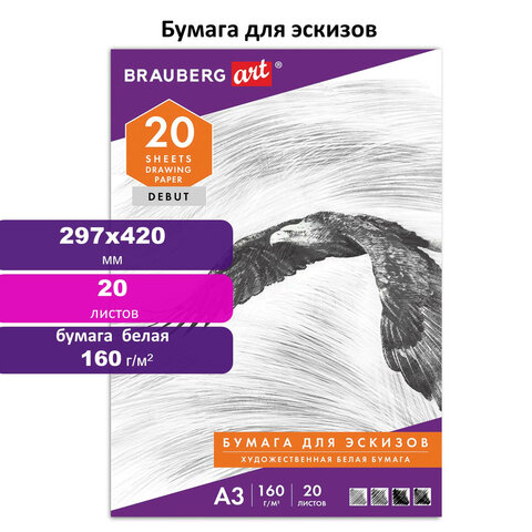 Папка для рисования А3, 297?420 мм, 20 л., BRAUBERG, внутренний блок 160 г/м2