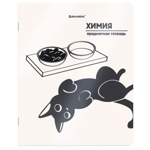 Тетради предметные, КОМПЛЕКТ 12 ПРЕДМЕТОВ 48 л., пластиковая обложка, BRAUBERG «КОТ-НЕПОСЕДА»