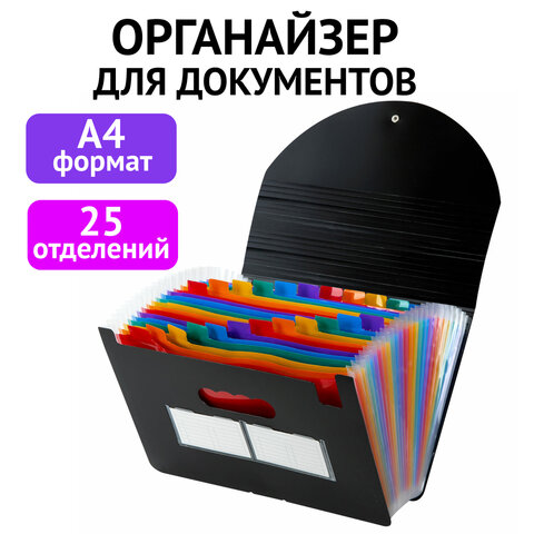 превью Папка-органайзер для бумаг и документов на резинке, 25 отделений, BRAUBERG DOCS, А4, черная