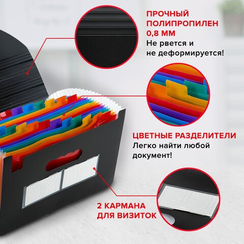 Папка-органайзер для бумаг и документов на резинке, 25 отделений, BRAUBERG DOCS, А4, черная