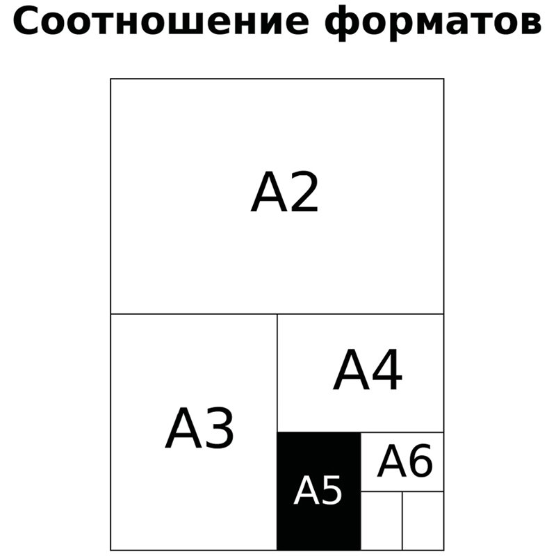 Тетрадь 48л., А5, клетка BG «Прощай, жестокий мир! », ламинация soft-touch, неоновый пантон