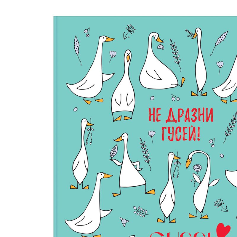 превью Тетрадь на кольцах А5, 160л., BG «Gussi», глянцевая ламинация