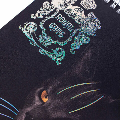 Блокнот А5 (146×215 мм), 80 л., гребень, клетка, ламинация, 3D фольга, HATBER, «Royal Cats»