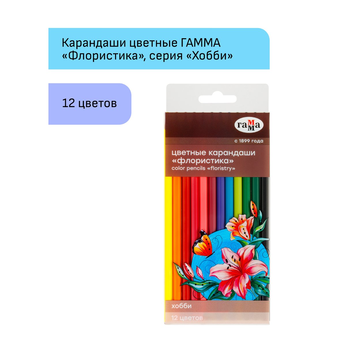 Карандаши цветные Гамма «Хобби. Флористика», 12цв., заточен., ПВХ, европодвес