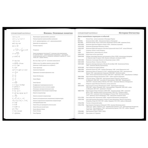 Дневник 5-11 класс 48 л., твердый, BRAUBERG, матовая ламинация, с подсказом, «Гуси»