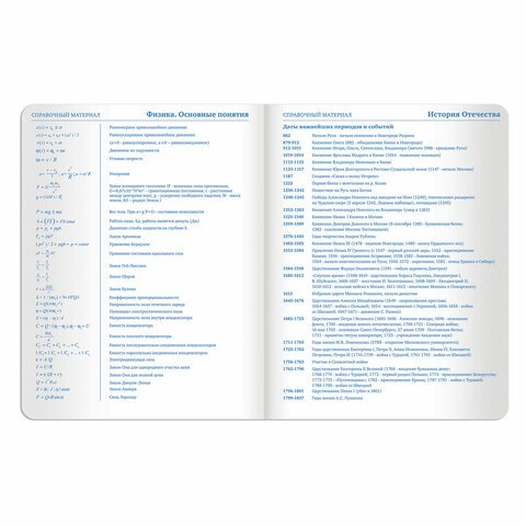 Дневник 1-11 класс 48 л., обложка кожзам твердая, аппликация, BRAUBERG, «Вкусняшки», 105487