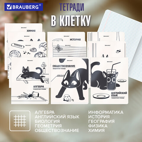 Тетради предметные, КОМПЛЕКТ 12 ПРЕДМЕТОВ 48 л., пластиковая обложка, BRAUBERG «КОТ-НЕПОСЕДА»