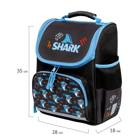 Ранец ПИФАГОР BASIC, 1 отделение, 3 кармана, эргономичная спинка, «Angry shark», 35×28х18 см