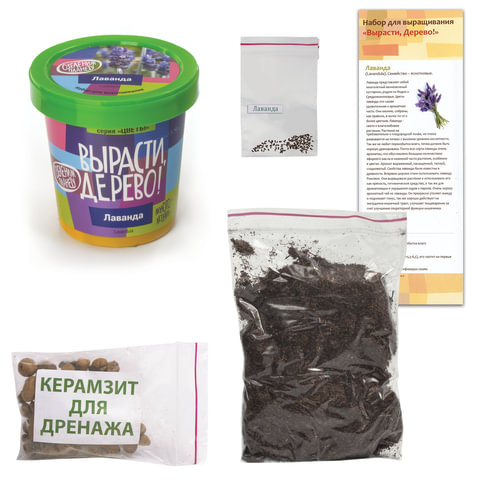 Набор для выращивания растений ВЫРАСТИ ДЕРЕВО! «Лаванда» (банка, грунт, семена)