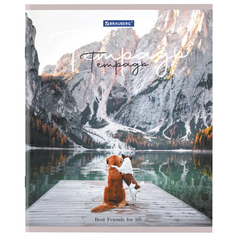 Тетрадь А5 48 л. BRAUBERG скоба, клетка, обложка картон, «Best Friends»