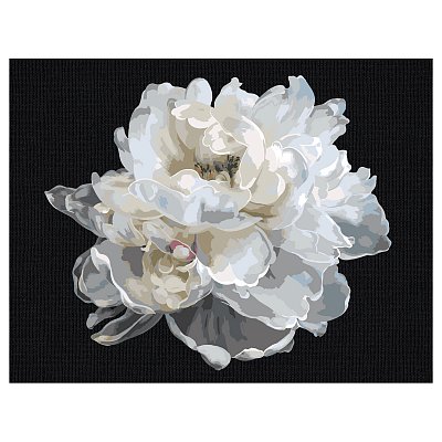 Картина по номерам на черном холсте ТРИ СОВЫ «Белый цветок», 30×40, c акриловыми красками и кистями