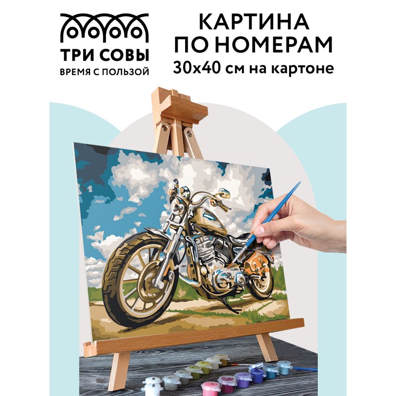 Картина по номерам на картоне ТРИ СОВЫ «На скорости», 30×40, с акриловыми красками и кистями
