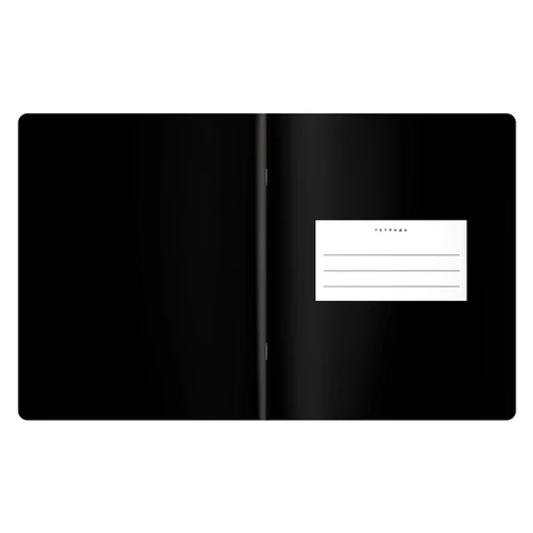 Тетрадь предметная BLACK MODE 48 л., пластиковая обложка, ИСТОРИЯ, клетка, подсказ, BRAUBERG