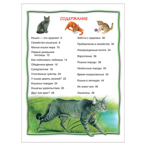 Энциклопедия детская. 100 фактов. Кошки и котята. Паркер С. 