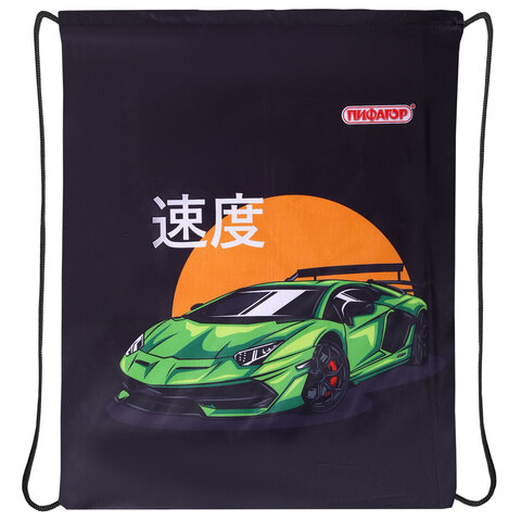 Мешок для обуви ПИФАГОР, 1 отделение, 42×34 см, «Dive into drive»