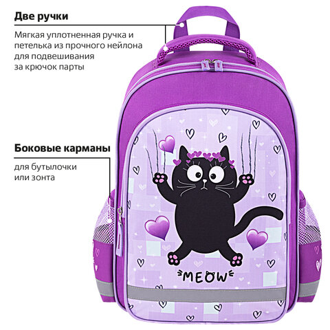 Рюкзак ПИФАГОР SCHOOL, 1 отделение, 3 кармана, «Falling cat», 38×28×14 см