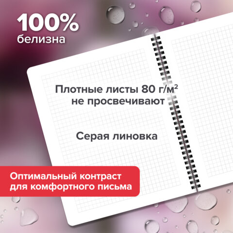 Тетради ДЭК А5 48 л. КОМПЛЕКТ 4 шт., BRAUBERG, гребень, клетка, 80 г/м2, Soft-Touch, «Aesthetics»
