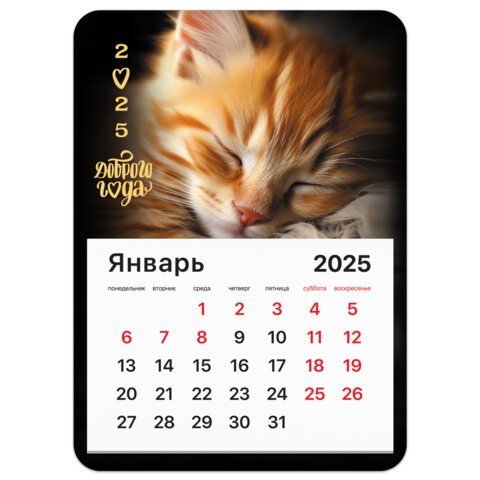 Календарь отрывной на магните 2025, BRAUBERG, 130×180мм, склейка, Котик
